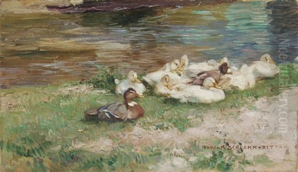 Enten Am Wiesenufer Oil Painting by Max Rudolf Schramm-Zittau