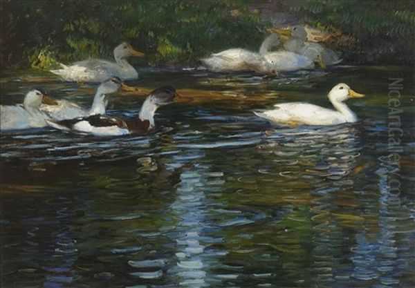 Enten Im Wasser Oil Painting by Max Rudolf Schramm-Zittau