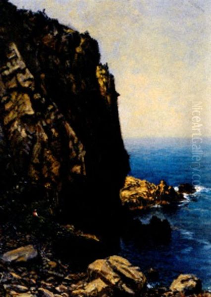 Dalmatinische Steilkuste Mit Blick Auf Das Weite Meer Oil Painting by Paul Schreckhaase