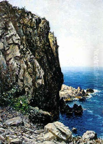 Dalmatinische Steilkuste Mit Blick Auf Das Weite Meer Oil Painting by Paul Schreckhaase