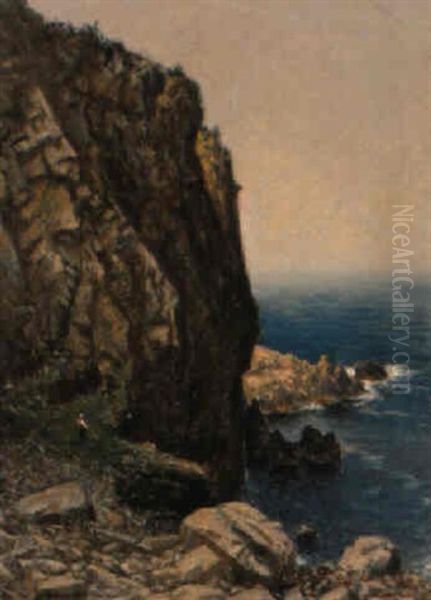 Dalmatinische Steilkuste Mit Blick Auf Das Weite Meer Oil Painting by Paul Schreckhaase