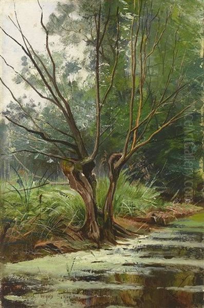 Fruhlingstag Mit Waldbach Und Sonnig Beleuchteter Wiese Mit Knuppelweide Oil Painting by Georges Schreiber