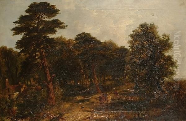 Cattle Grazing In A Wooded Landscape Oil Painting by Edward O. Bowley