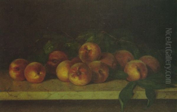 Still Life Of Peaches On A Marble Ledge Oil Painting by Claudius W. Schreyer