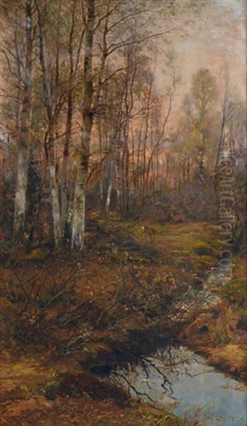 Forest Clearing With Birches At Sunrise Oil Painting by Franz Schreyer