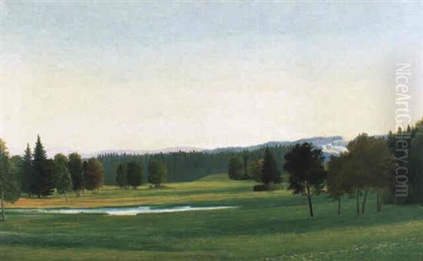 Ostersee-landschaft Bei Aibling Oil Painting by Georg Schrimpf