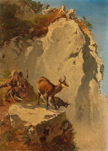 Two Chamois In The High Mountains Oil Painting by Anton Schroedl