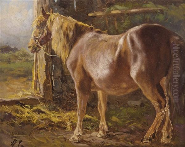 Pferd Im Stall Mit Ausblick Oil Painting by Anton Schroedl