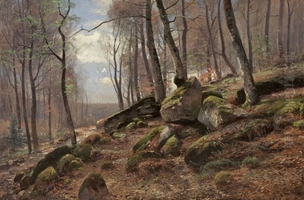 Waldinneres Mit Bemoosten Felsen Oil Painting by Wilhelm Schroeter