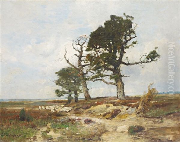 Troupeau De Moutons Et Grands Arbres Oil Painting by Wilhelm Schroeter