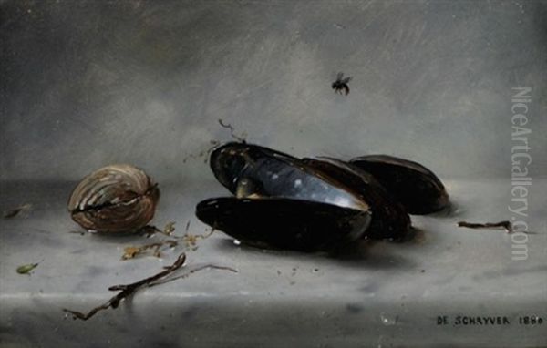 Mussel Shells Oil Painting by Louis Marie de Schryver