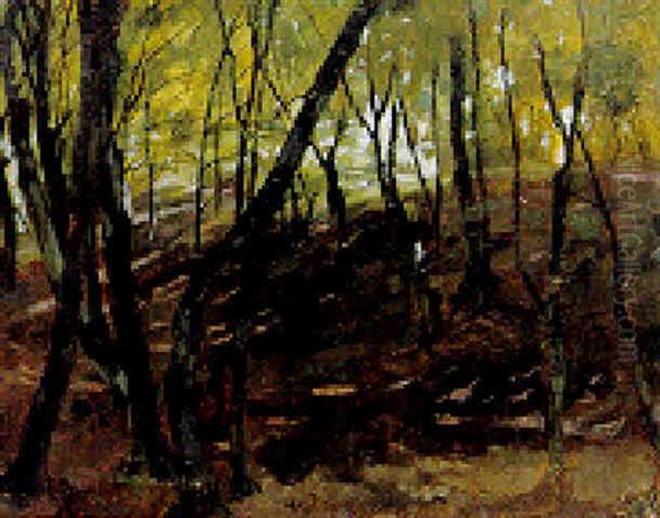 A Sunlit Forest Oil Painting by Carl Schuch