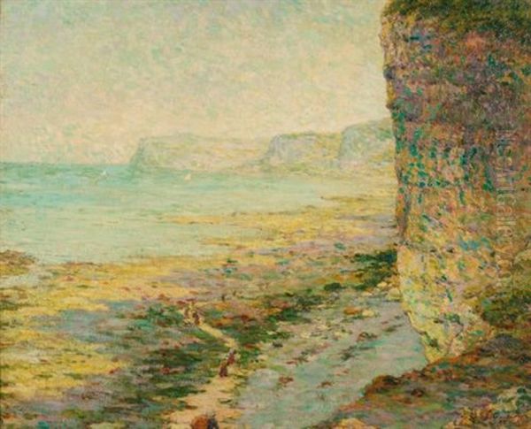 Falaises A Marees Basse Oil Painting by Claude Emile Schuffenecker