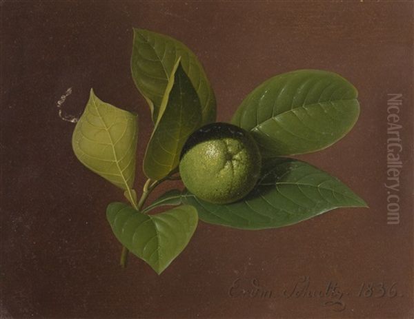 Limettenzweig Oil Painting by Erdmann Schultz