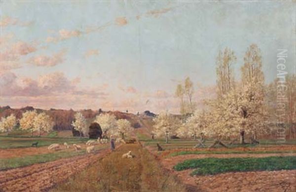 Verger Au Printemps, Montigny Sur Loing by Adrien Schulz