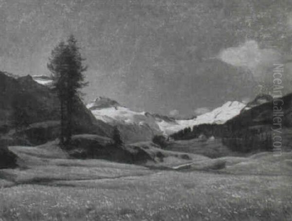 Bergsommer Bei Sils-maria Oil Painting by Emil Schulze