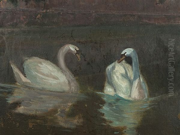 Two Swans In Front Of A Villa by Hans Rudolf Schulze