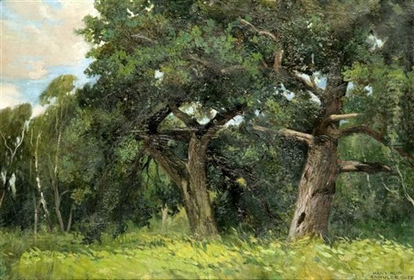 Old Trees by Hans Rudolf Schulze