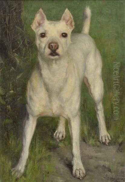 Hundportratt. Signerat Oil Painting by Ida Eleonora de Schulzenheim