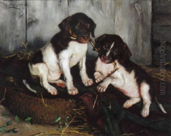 Puppies At Play Oil Painting by Ida Eleonora de Schulzenheim