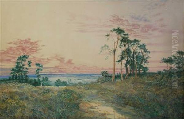 Sunset Over Heathland Oil Painting by George Price Boyce