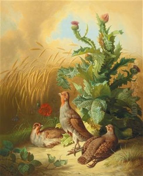 Partridges In A Field Oil Painting by Josef Schuster