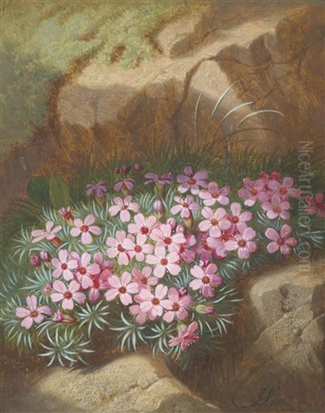 Alpenblumen (2 Works) Oil Painting by Josef Schuster