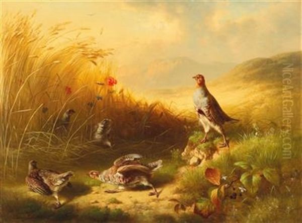 Partridge With Fledglings On The Mountain Pastures Oil Painting by Ludwig Schuster