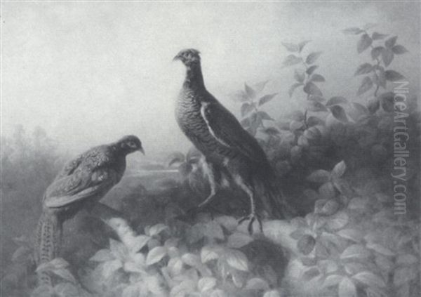 A Pheasant In A Landscape Oil Painting by Ludwig Schuster