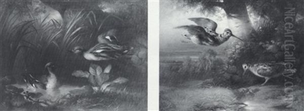 Quails And Ducks: A Pair Of Landscapes With Fowl Oil Painting by Ludwig Schuster