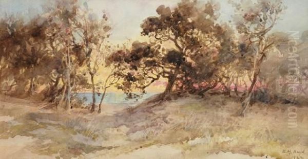 Near Canterbury Jetty, Close Tosorrento Oil Painting by Emma Minnie Boyd