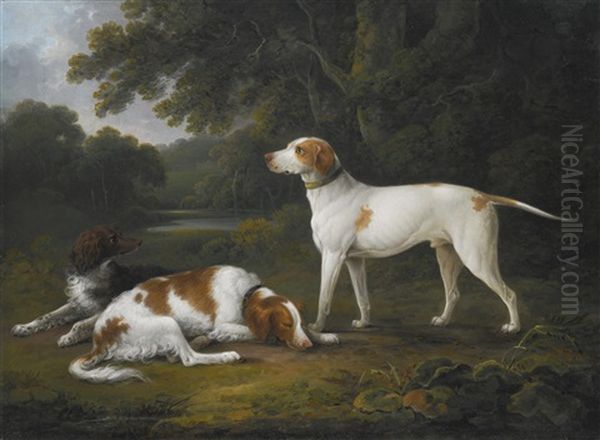 Two Spaniels And A Hound In A Wooded River Landscape Oil Painting by Charles Henry Schwanfelder