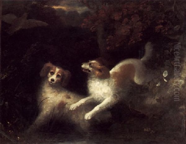 Two Spaniels In A Landscape Putting Up Game Oil Painting by Charles Henry Schwanfelder