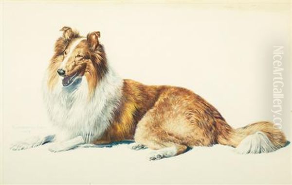 Seated Collie by J. Rutherford Boyd