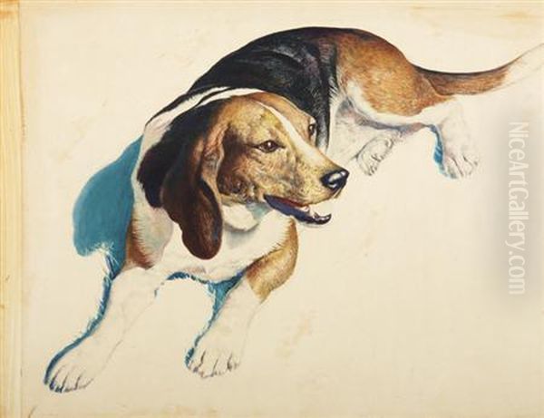 Beagle by J. Rutherford Boyd