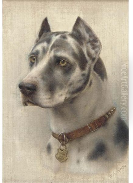 The Head Of A Doberman Oil Painting by Wilhelm Schwar