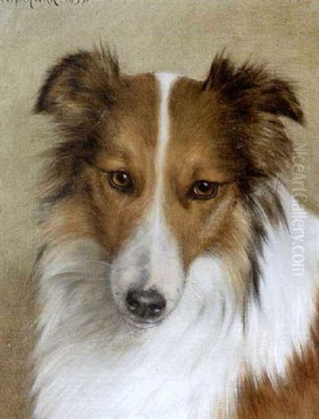 Collie Oil Painting by Wilhelm Schwar