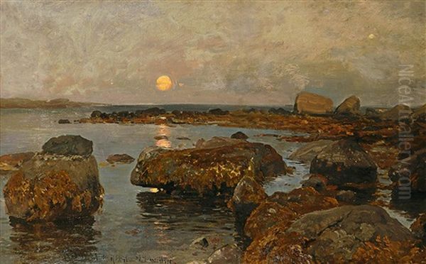 Sonnenuntergang An Der Norwegischen Kuste Oil Painting by Adolf Gustav Schweitzer