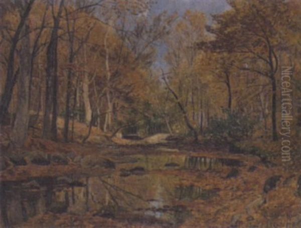 Sonniger Herbstwald Mit Bachlauf Oil Painting by Adolf Gustav Schweitzer