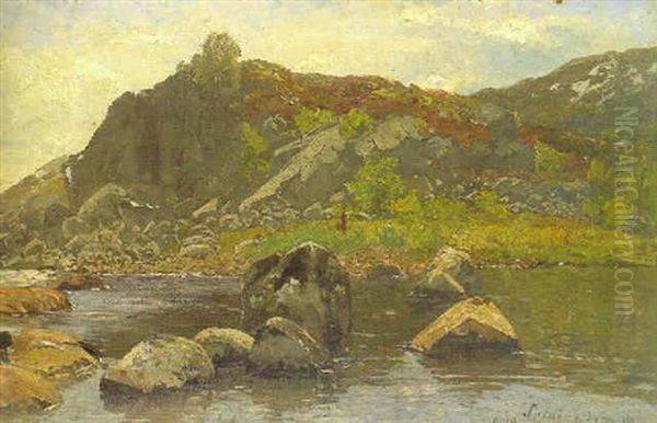 Schwedische Landschaft Mit See Oil Painting by Adolf Gustav Schweitzer