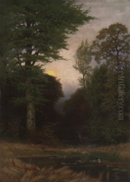 Rotwild Auf Einer Waldlichtung Oil Painting by Friedrich Wilhelm Schwinge