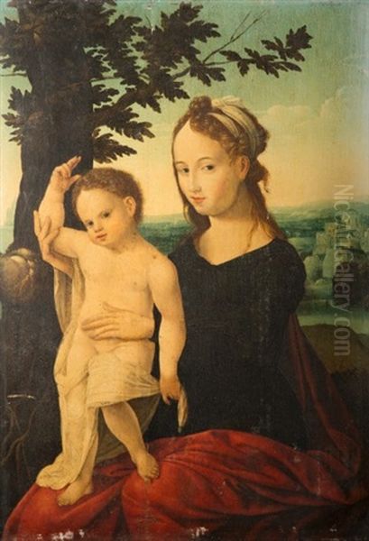 Vierge A L'enfant Oil Painting by Jan Van Scorel