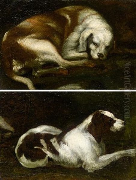 Study Of A Resting Hound (+ Another, Similar; Pair) Oil Painting by Sinibaldo Scorza