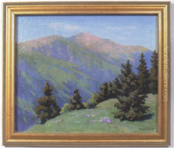 Summer In The Mountains Oil Painting by Colin Alexander Scott