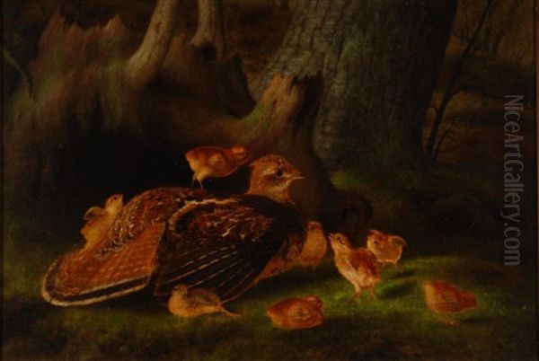 Ruffed Grouse With Chicks Oil Painting by James Long Scudder