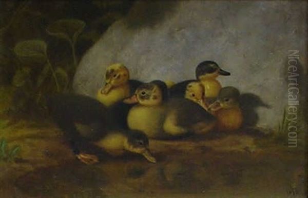 Seven Ducklings Oil Painting by James Long Scudder