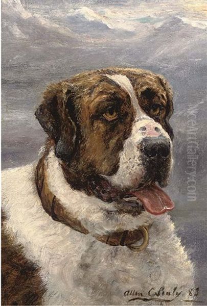 Portrait Of A St. Bernard, Turned To The Left (+ The Gentle Giant; Pair) Oil Painting by Allen Culpepper Sealy