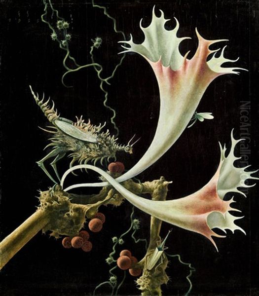 Bluten Und Insekten Oil Painting by Franz Sedlacek