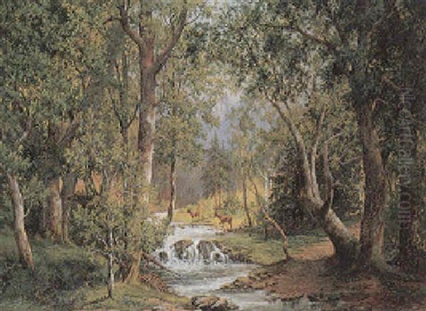 Waldlandschaft Mit Sonniger Lichtung Oil Painting by Joseph Sedlacek