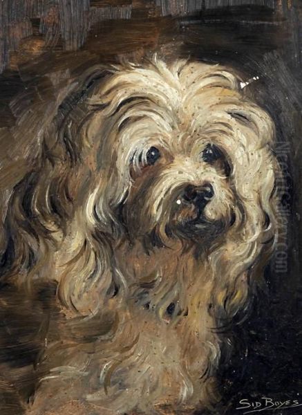 Head Of A Long Haired Terrier Oil Painting by Sidney T Boyes